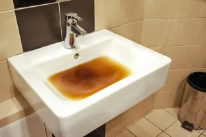 wc verstopt hoofddorp
